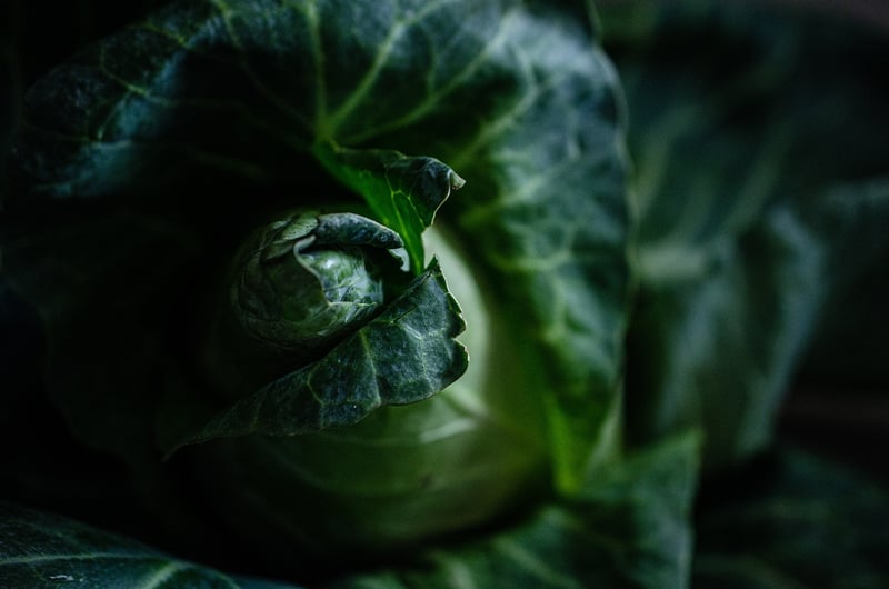 Sustainable Eating