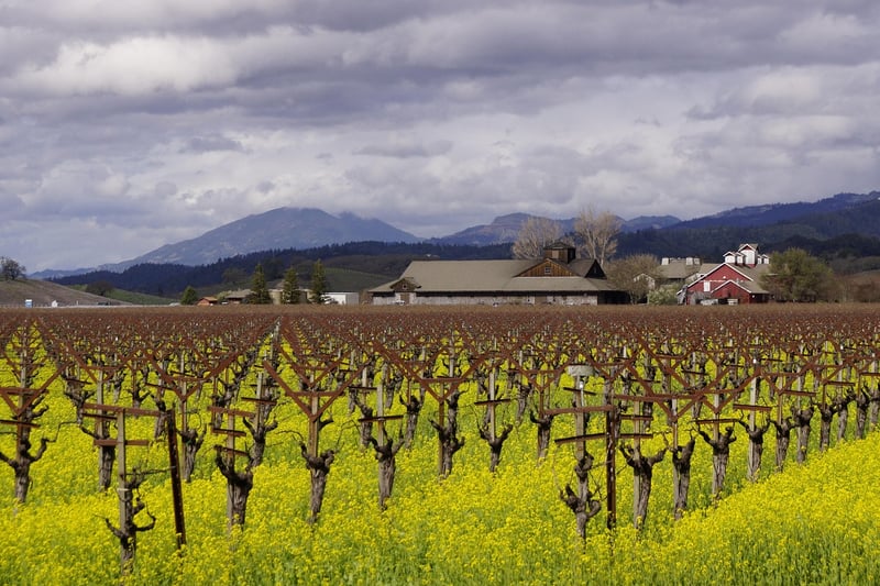 The French Laundry